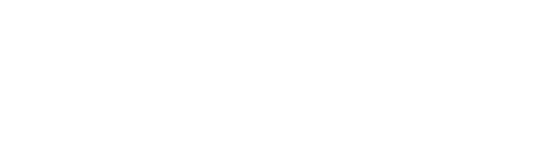 Iris Management Services — Logo & Brand Identity