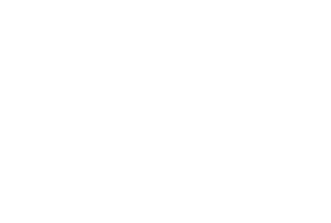 Iris Management Services mark on dark