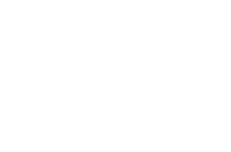 Flame Logistics logo in white